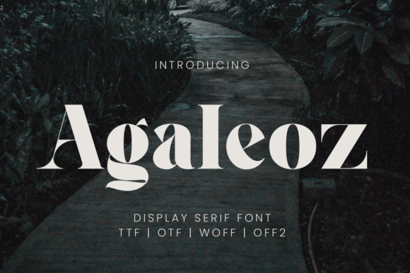 Agaleoz: A Serif Font That Elevates Digital Design