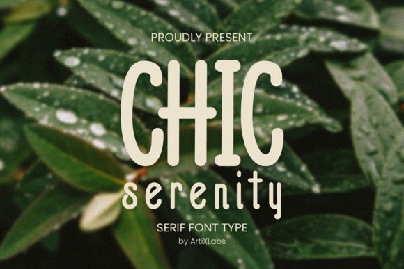 Chic Serenity: A Serif Font for Campaigns That Speak with Grace
