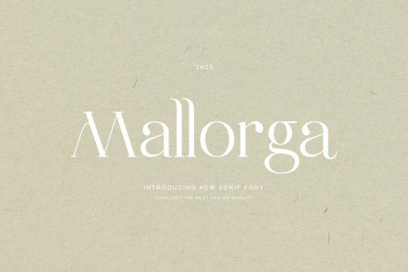 Font Choice That Matters: How Mallorga Elevates Your Campaigns