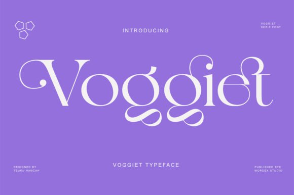 How Voggiet Can Elevate Your Brand’s Visual Identity