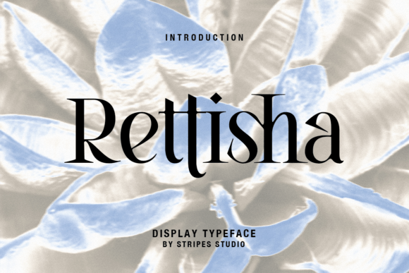 Rettisha Font: A Serif That Elevates Digital Branding