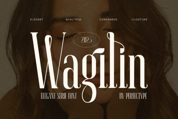 Wagilin: The Font That Elevates Your Brand
